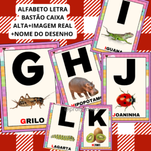 ALFABETO DE PAREDE LETRA BASTÃO IMAGENS REAIS JARDIM ENCANTADO