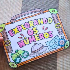 LIVRINHO MALA EXPLORANDO OS NÚMEROS (atividade números)